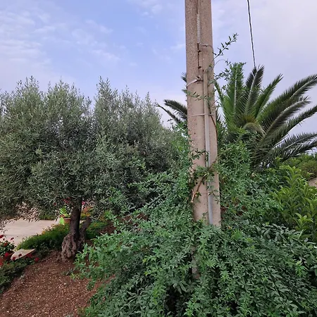 Casa I Due Ulivi *
