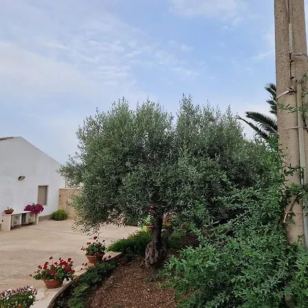 Casa I Due Ulivi Apartment